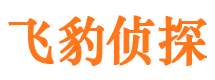 清浦市侦探调查公司